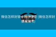 微信怎样封锁小程序搜查 (微信怎样封锁视频号)