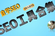 如何seoseo网站推行怎样做 (如何森林防火)