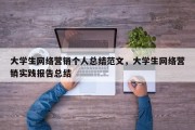 大学生网络营销个人总结范文，大学生网络营销实践报告总结
