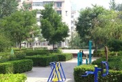 以前绿化与如今的变动引见 (绿化以后前景)