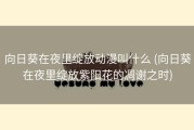 向日葵在夜里绽放动漫叫什么 (向日葵在夜里绽放紫阳花的凋谢之时)
