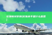 软妹畛域宰割 (软妹杀手是什么意思)