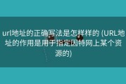 url地址的正确写法是怎样样的 (URL地址的作用是用于指定因特网上某个资源的)