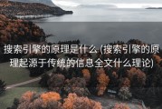 搜索引擎的原理是什么 (搜索引擎的原理起源于传统的信息全文什么理论)