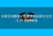 玩家实测教程“忍者究竟有挂吗!太坑人了“原来有挂