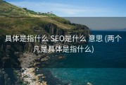 具体是指什么 SEO是什么 意思 (两个凡是具体是指什么)