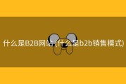 什么是B2B网站 (什么是b2b销售模式)