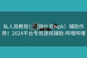 私人局教程！（微扑克wpk）辅助作弊！2024平台专用透视辅助-哔哩哔哩