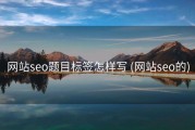 网站seo题目标签怎样写 (网站seo的)