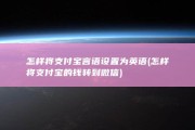 怎样将支付宝言语设置为英语 (怎样将支付宝的钱转到微信)