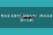 熊出没 这是什么动画片啊！ (熊出没这是什么歌)