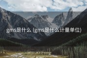 gms是什么 (gms是什么计量单位)