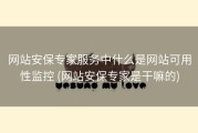 网站安保专家服务中什么是网站可用性监控 (网站安保专家是干嘛的)