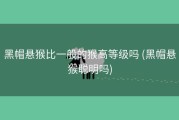 黑帽悬猴比一般的猴高等级吗 (黑帽悬猴聪明吗)