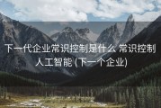 下一代企业常识控制是什么 常识控制 人工智能 (下一个企业)