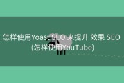 怎样使用Yoast SEO 来提升 效果 SEO (怎样使用YouTube)