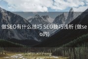 做SEO有什么技巧 SEO技巧浅析 (做seo的)