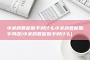 小米的智能助手叫什么 小米的智能助手叫啥 (小米的智能助手叫什么)