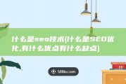 什么是seo技术 (什么是SEO优化,有什么优点有什么缺点)