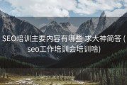 SEO培训主要内容有哪些 求大神简答 (seo工作培训会培训啥)