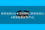 跨境电商b2b平台有哪些 (跨境电商b2b数据运营实训平台)