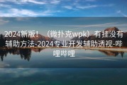 2024新版！（微扑克wpk）有挂没有辅助方法-2024专业开发辅助透视-哔哩哔哩