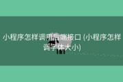 小程序怎样调用后端接口 (小程序怎样调字体大小)