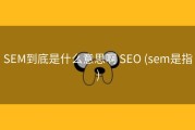 SEM到底是什么意思啊 SEO (sem是指)