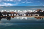 传递经验WePoKer透视软件购买，aapoker原来是真的有挂（有挂教程）-哔哩哔哩