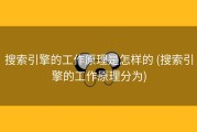 搜索引擎的工作原理是怎样的 (搜索引擎的工作原理分为)