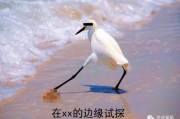 国产游戏登上央视焦点访谈，多款二次元游戏因违规被查办