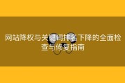 网站降权与关键词排名下降的全面检查与修复指南