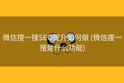 微信搜一搜SEO提升如何做 (微信搜一搜是什么功能)