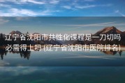 辽宁省沈阳市共性化课程是一刀切吗必需得上吗 (辽宁省沈阳市医院排名)