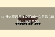 url什么意思怎样设置url什么意思 (URL什么意思中文)
