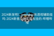 2024新发明！wepoker有透视辅助挂吗-2024新普及确实是有挂的-哔哩哔哩