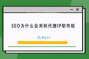 SEO优化中代理IP软件的重要性及关键词选择策略详解