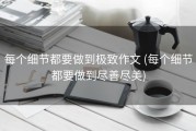 每个细节都要做到极致作文 (每个细节都要做到尽善尽美)