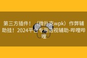 第三方插件！（微扑克wpk）作弊辅助挂！2024平台专用透视辅助-哔哩哔哩