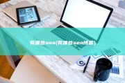 有哪些seo (有哪些seo博客)