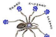 优秀SEO人员必知：分析网站日志的重要性及蜘蛛日志分析技巧