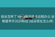 硅谷怎样了 Meta敞开终身远程办公 谷歌提早开2024秋招 (硅谷现在怎么样)