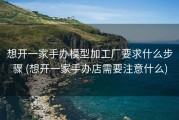 想开一家手办模型加工厂要求什么步骤 (想开一家手办店需要注意什么)