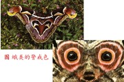 保持准则 色标治理分类准则 (为保持准则体系的稳定性)