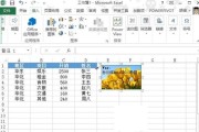 怎样给图片加ALT标签 (怎样给图片加上水印)
