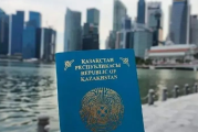 清点国际可用的传统搜查引擎
