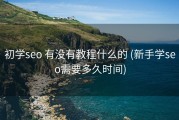 初学seo 有没有教程什么的 (新手学seo需要多久时间)