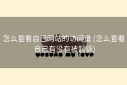 怎么查看自己网站的访问量 (怎么查看自己有没有被起诉)