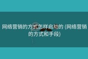 网络营销的方式怎样启动的 (网络营销的方式和手段)