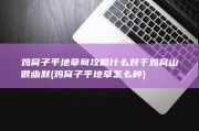 鸡窝子平地草甸攻略什么对于鸡窝山很幽默 (鸡窝子平地草怎么种)